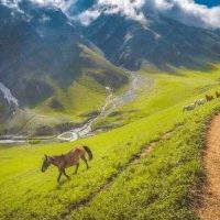 Explore the kashmir great lakes