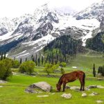 Sonamarg Kashir